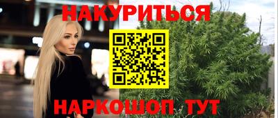мяу мяу мука Гатчина